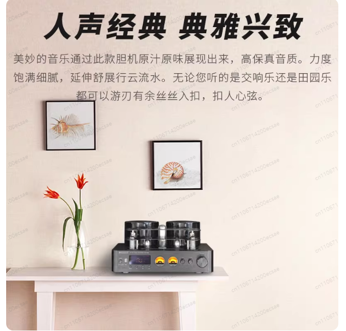 220V 400W * 2 High Fidelity Wi - Audio Music Youtube recension och pris
